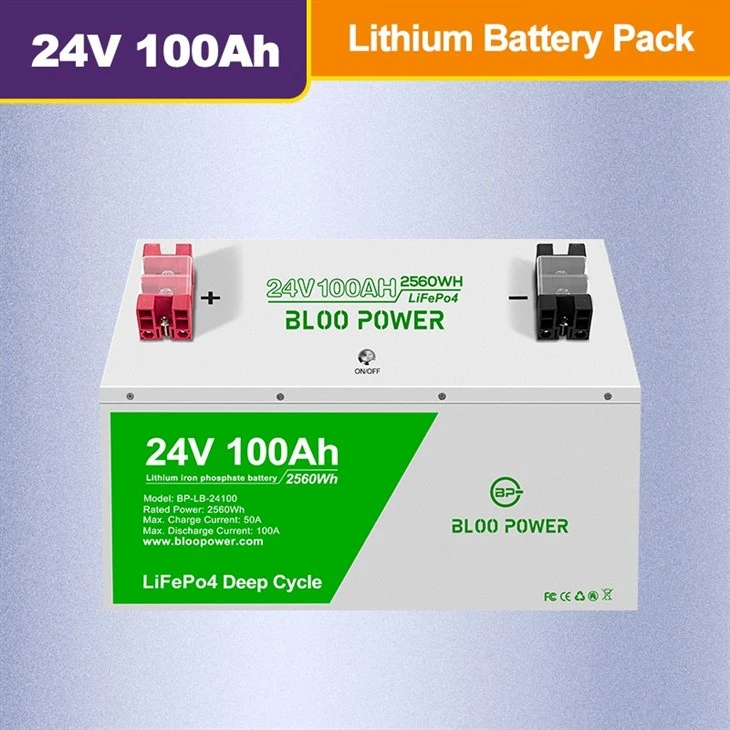 LiFePO4 Batterie Lithium 24V 100Ah