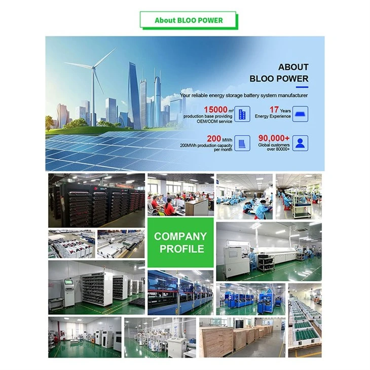 about bloopower
